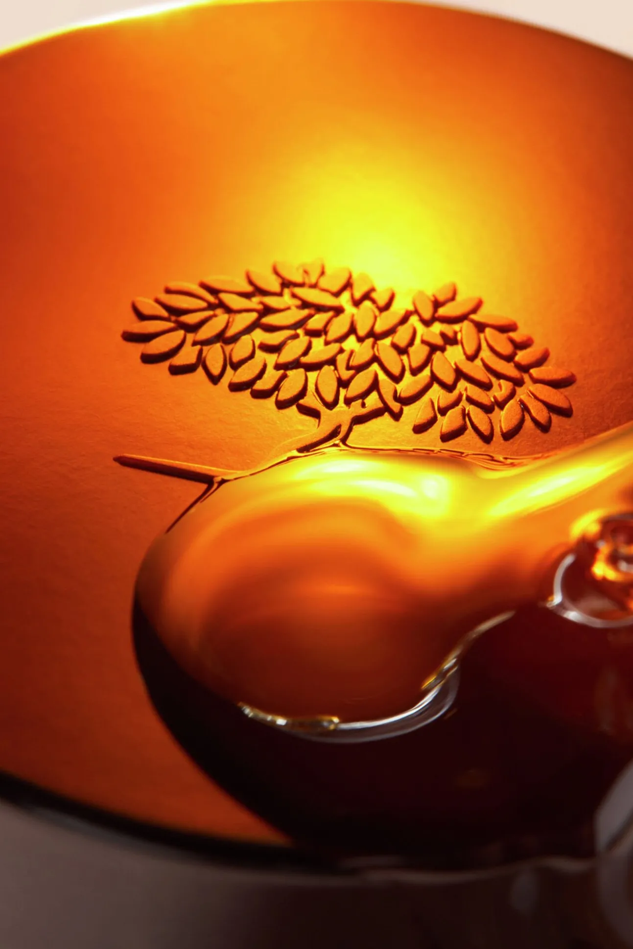 Bálsamo labial rêve de miel ultra-hidratante 15 ml