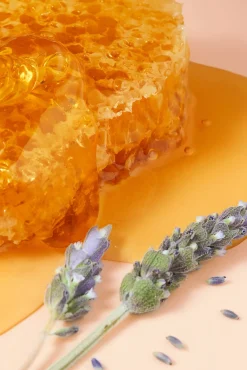 Bálsamo labial rêve de miel ultra-hidratante 15 ml