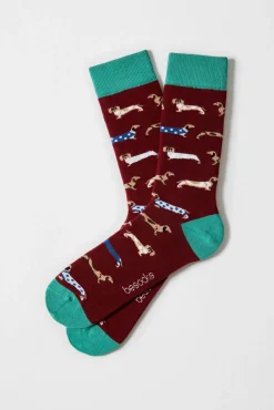 Calcetines altos perro salchicha