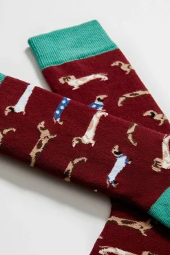 Calcetines altos perro salchicha