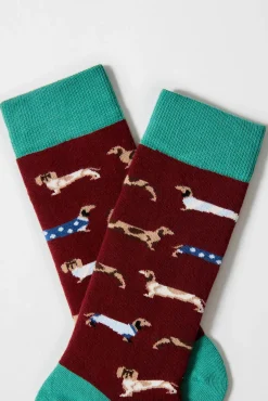 Calcetines altos perro salchicha