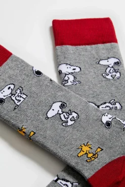 Calcetines de hombre altos Besocks de algodón orgánico color gris