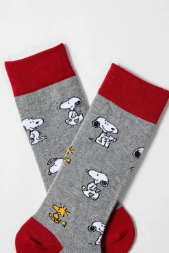 Calcetines de hombre altos Besocks de algodón orgánico color gris