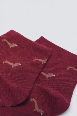 Calcetín corto perros