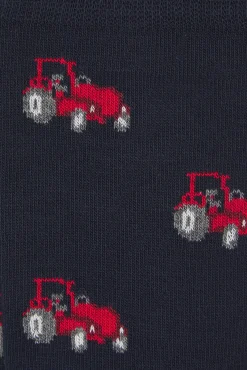 Calcetín Regular Algodón Caballero