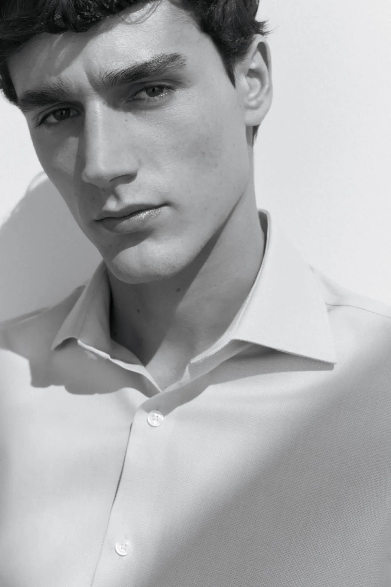 Camisa gemelos lisa non iron + antimanchas