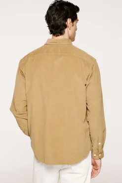 Camisa micropana 100% algodón orgánico