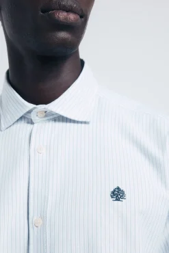 Camisa oxford ligero rayas