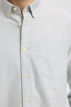 Camisa Oxford Regular Fit.