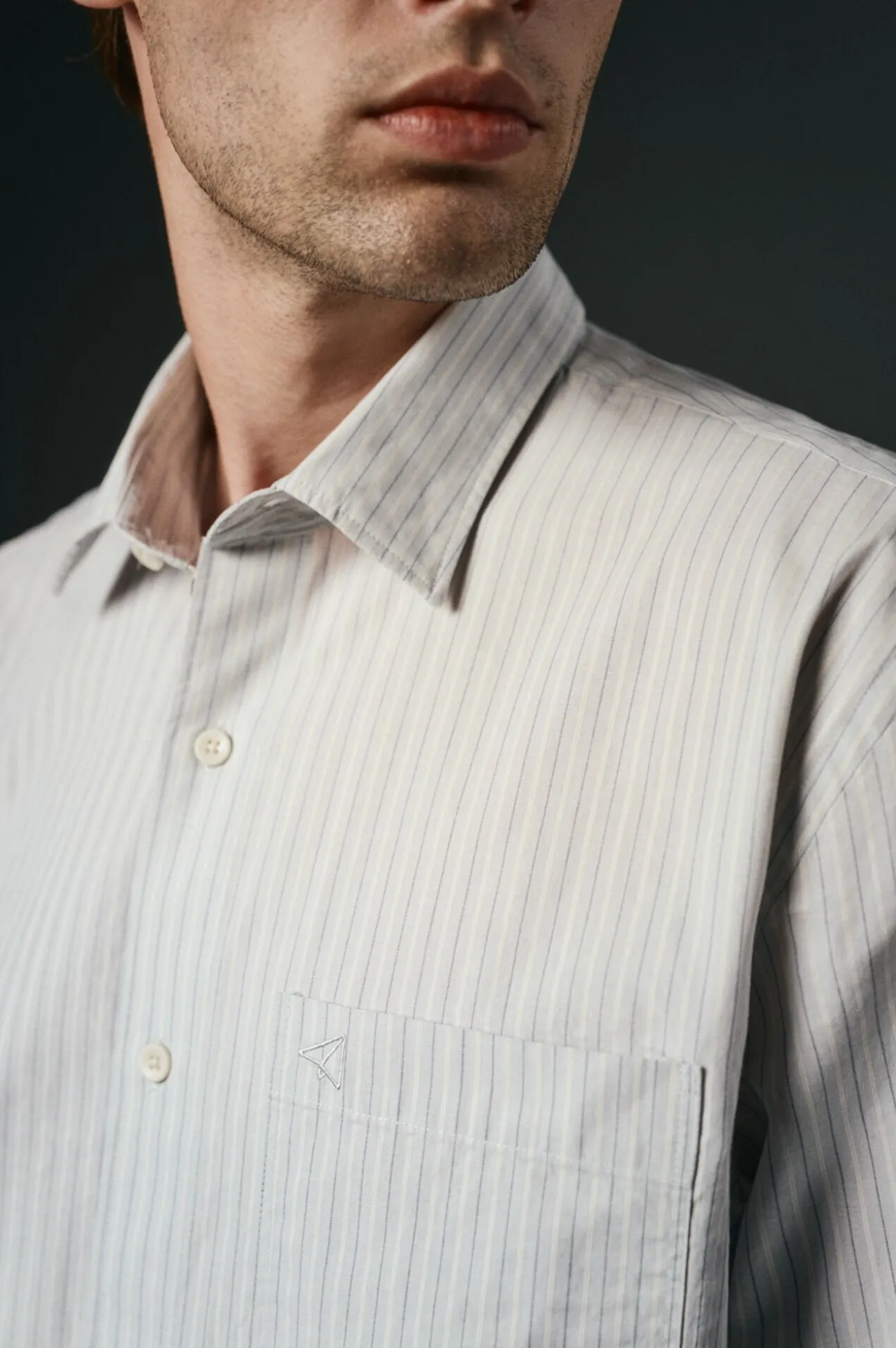 Camisa rayas estructura