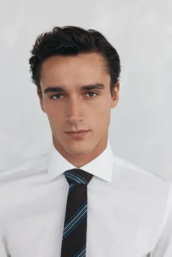 Camisa vestir lisa non iron + antimanchas