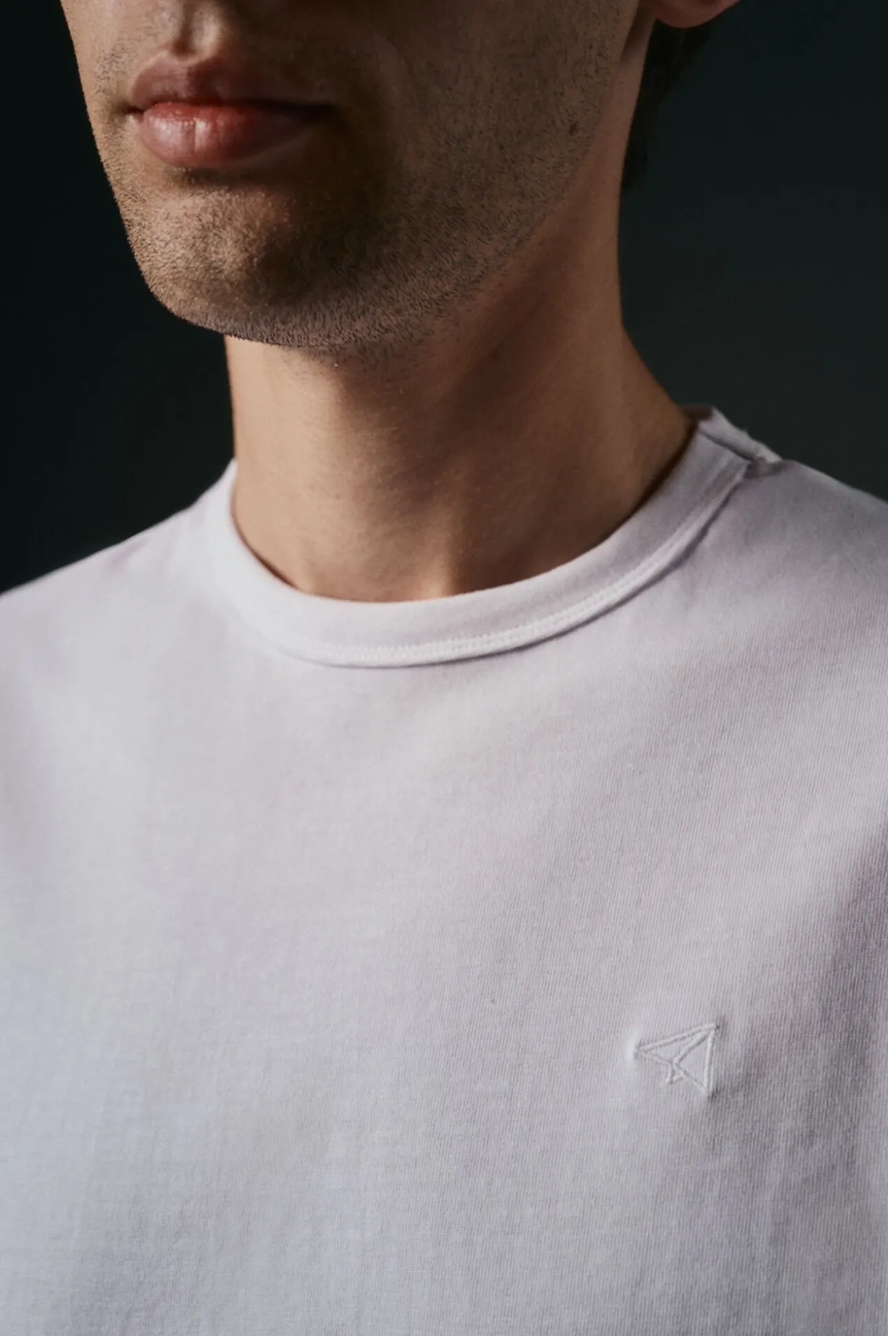 Camiseta básica con bordado avión