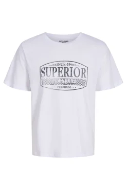 Camiseta estampado frontal