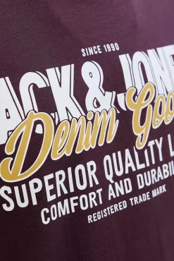 Camiseta regular fit PLUS