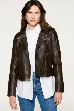 Cazadora Biker Cropped 100% piel