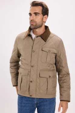 Cazadora regular fit