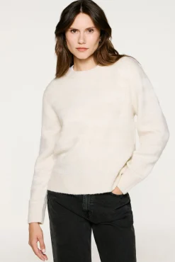 Jersey lazada alpaca