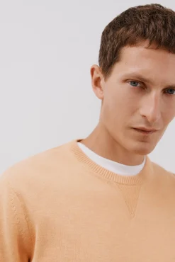 Jersey punto fino algodón cuello redondo