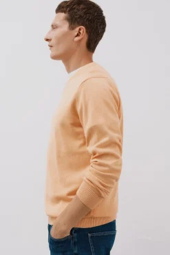 Jersey punto fino algodón cuello redondo