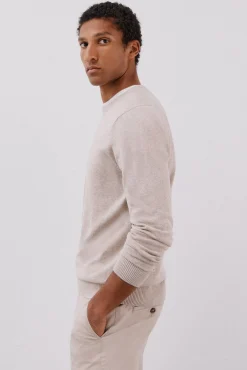 Jersey punto fino algodón cuello redondo