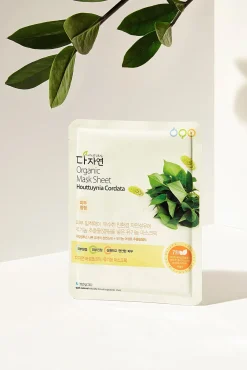 Mascarilla facial houttuynia cordata