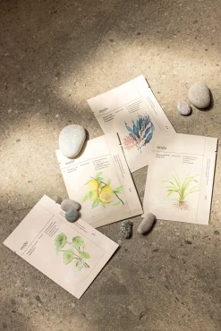 Mascarilla reafirmante antiedad