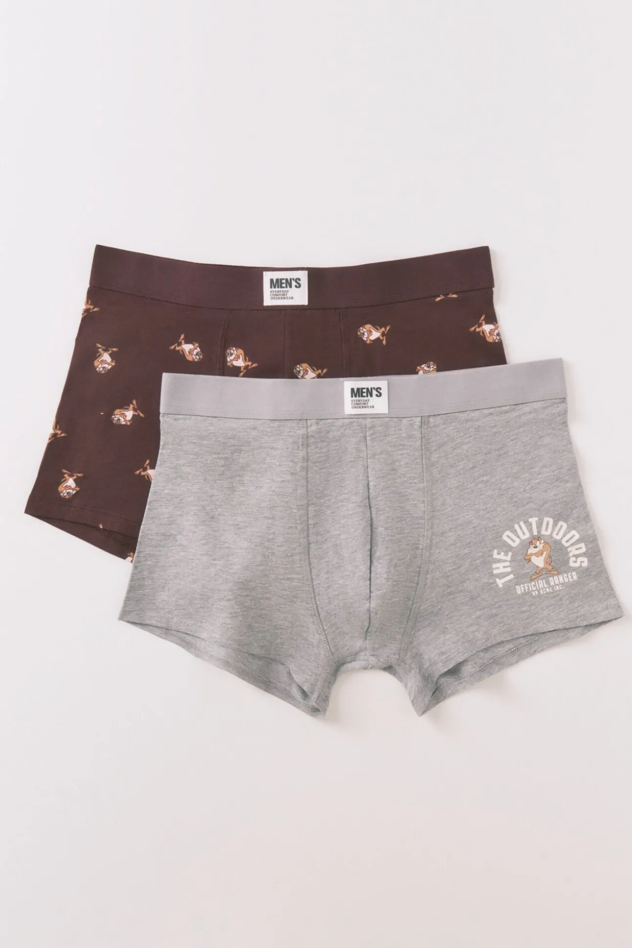 Pack 2 calzoncillos bóxer algodón "Taz"