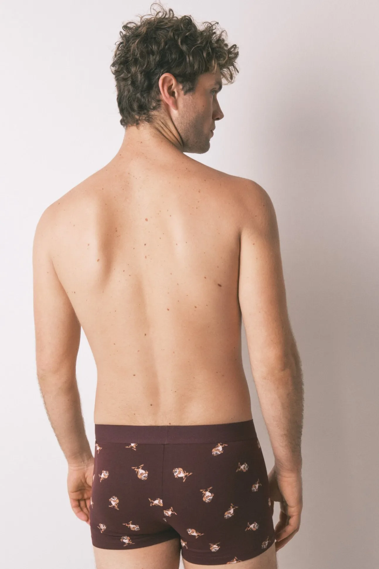 Pack 2 calzoncillos bóxer algodón "Taz"