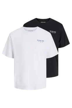 Pack 2 camisetas regular fit