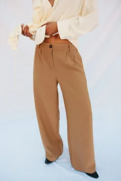 Pantalón pinzas