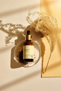 Sérum houttuynia cordata