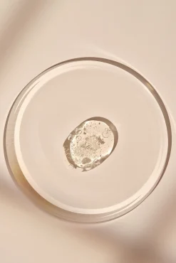 Sérum houttuynia cordata