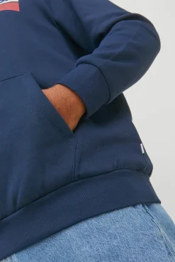 Sudadera capucha print logo PLUS