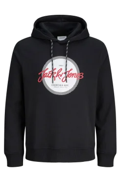 Sudadera logo con capucha