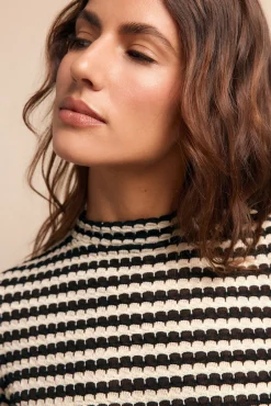 Top básico estructura