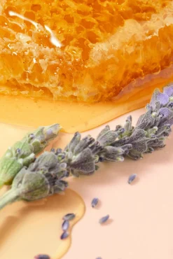 Tratamiento labial rêve de miel 10 ml