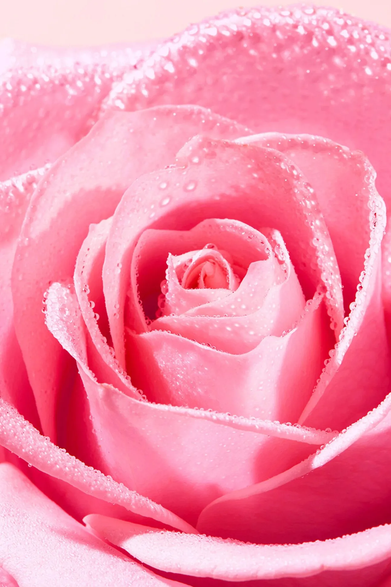 VERY ROSE GEL LIMPIADOR CALMANTE 150ML